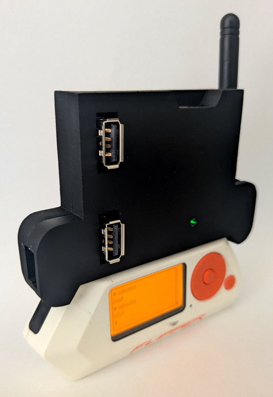 Flipper Blackhat "Edgar Case"