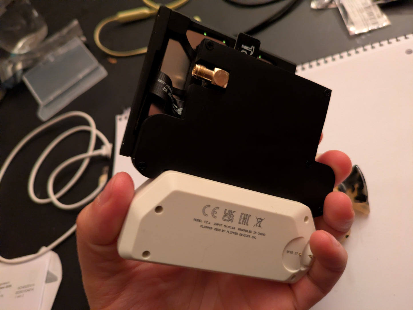 Flipper Blackhat "Edgar Case 2.0"