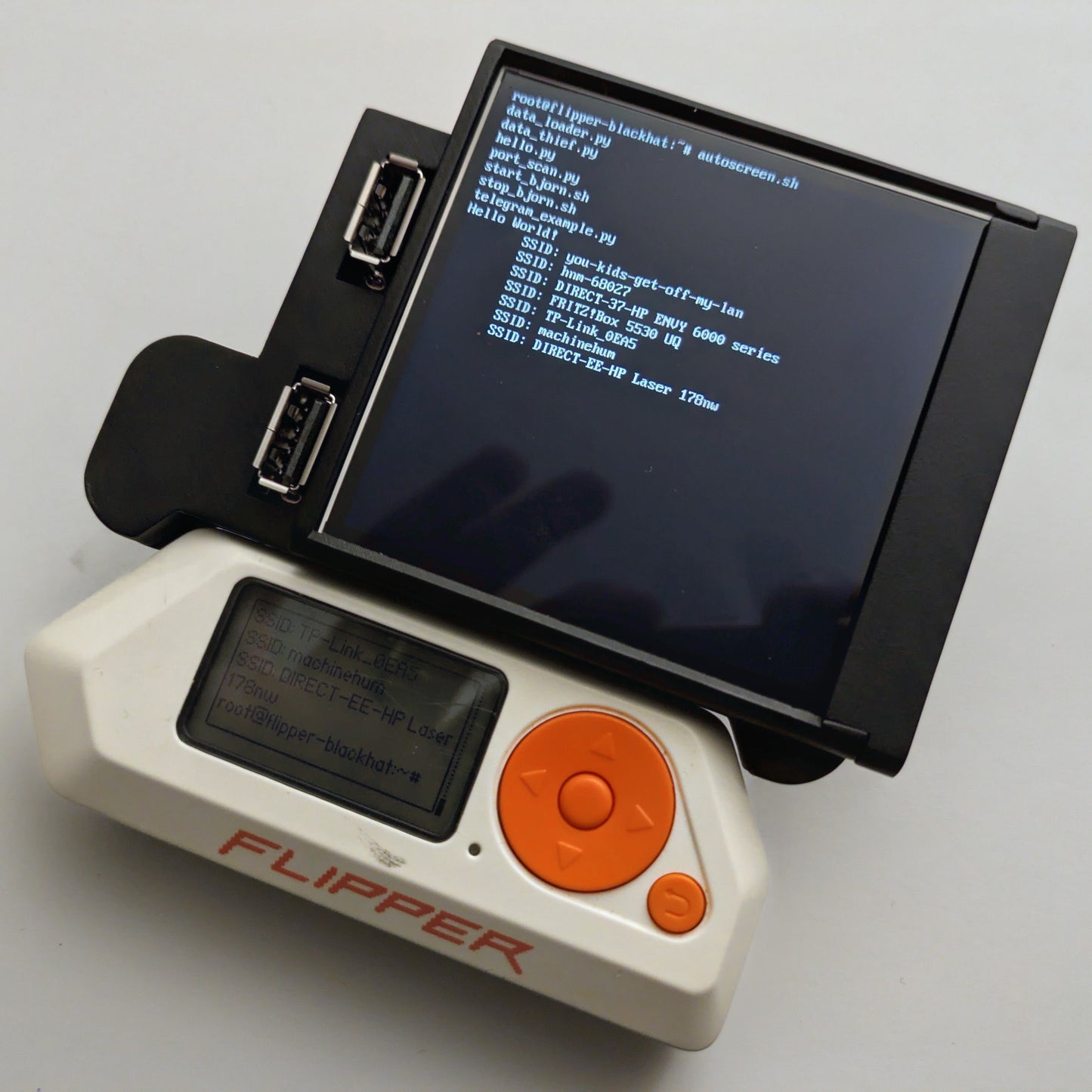 Flipper Blackhat "Edgar Case 2.0"